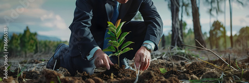 A business leader planting a tree in a deforested area, showing personal commitment to environmental restoration photo