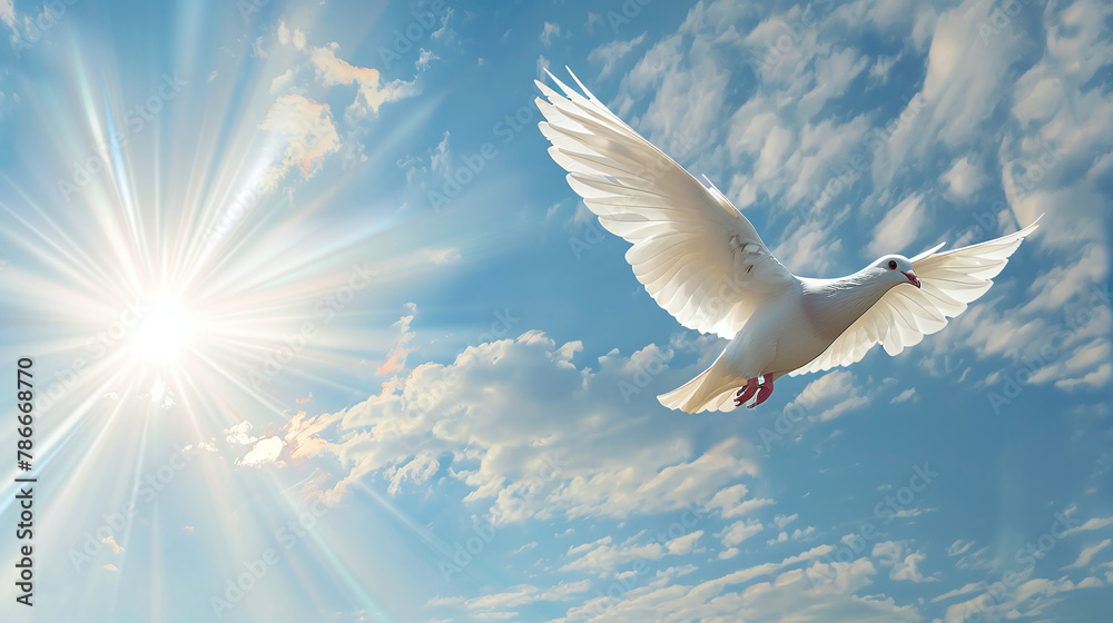 white dove flying in the blue cloudy sky white dove flying in the blue cloudy sky