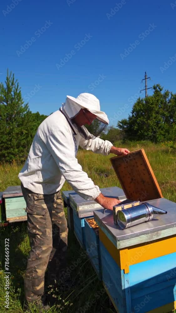 Beekeeper inspects bees. Apiarist on a bee farm on industrial pipes background. Wooden hives on green grass. Vertical video Beekeeper inspects bees. Apiarist on a bee farm on industrial pipes background. Wooden hives on green grass. Vertical video