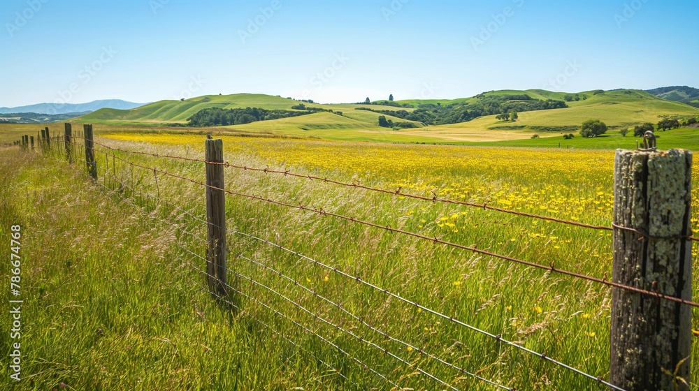 Fototapeta premium A picturesque meadow blooms with colorful wildflowers, framed by a rustic barbed wire fence under a clear blue sky.