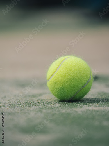 Tennis Ball Resting on a Green Court by the Net © DayfaPhoto