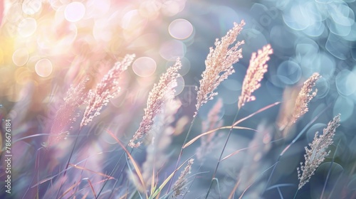 Detailed view of tall grass, perfect for nature backgrounds. photo