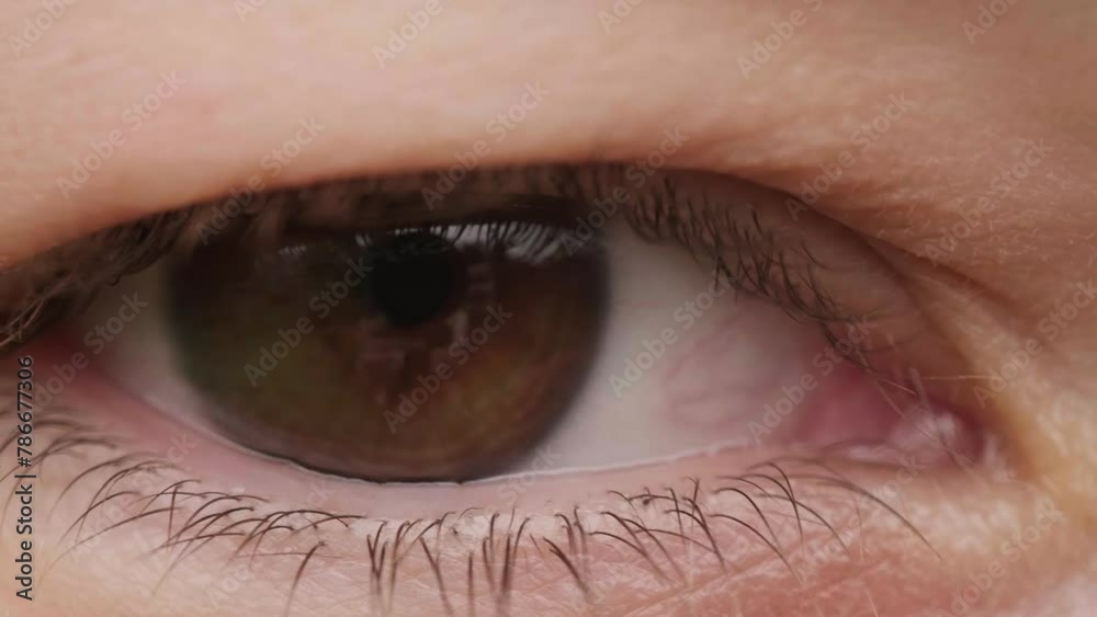 Female eye with beautiful brown Iris Macro Shot. Close Up opening human eyes natural beauty