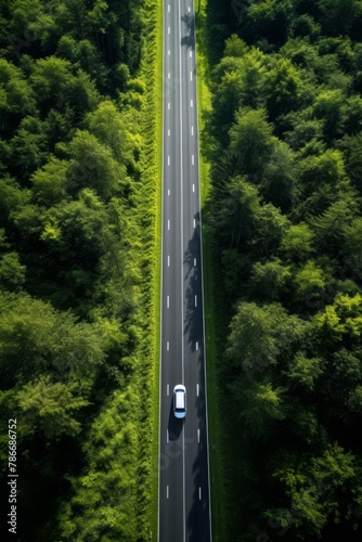 road among the forests bird's eye view Generative AI