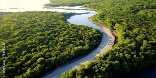 road among the forests bird's eye view Generative AI