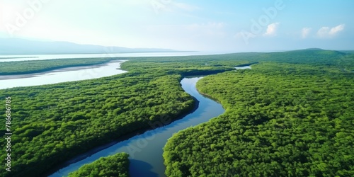 road among the forests bird's eye view Generative AI