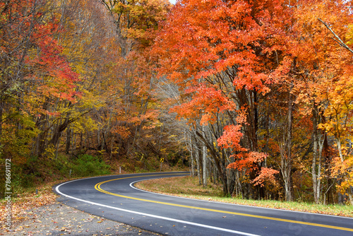 Photography Backroad in Tennessee Covered With Autumn Color