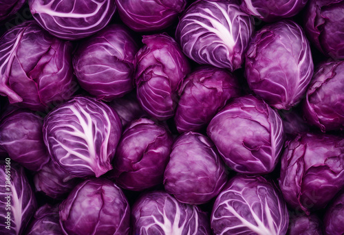 Fresh red cabbage texture background top view natural purple background