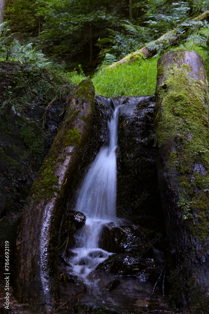 waterfall in the forest waterfall in the forest