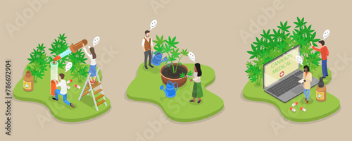 3D Isometric Flat Vector Illustration of Hemp Products, Weed Plant Cultivation