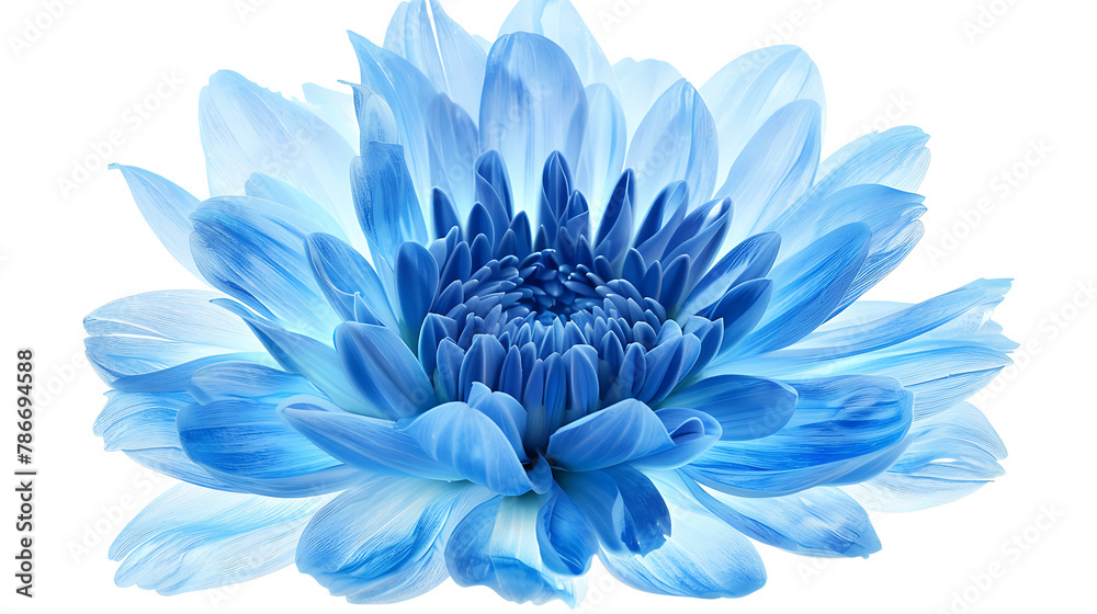 a vibrant blue flower with delicate petals and intricate details at its center. The petals radiate outward in a mesmerizing display of color