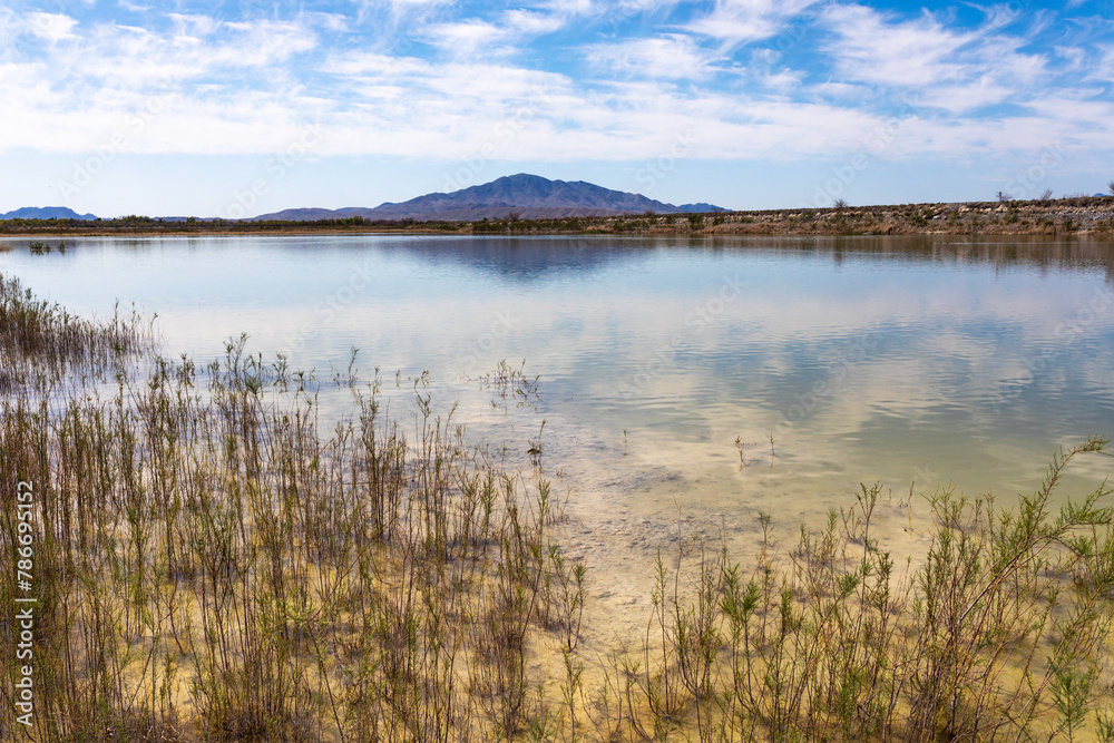 Crystal Reservoir in Ash Meadows National Wildlife Refuge near Death Valley National Park, Las Vegas, and Pahrump, Nevada