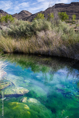 Point of Rocks Spring in Ash Meadows National Wildlife Refuge near Death Valley National Park, Las Vegas, and Pahrump, Nevada photo