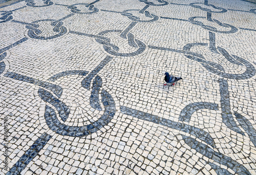 Calçada Portuguesa com uma pomba.