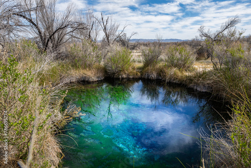 Quadro su tela Rogers Spring in Ash Meadows National Wildlife Refuge near Death Valley National