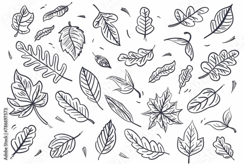 Leaf wind doodle line sketch set. Hand drawn doodle wind motion, air blow, leaf falling elements. Sketch drawn air weather, autumn falling concept. Isolated vector illustration vector icon, white back