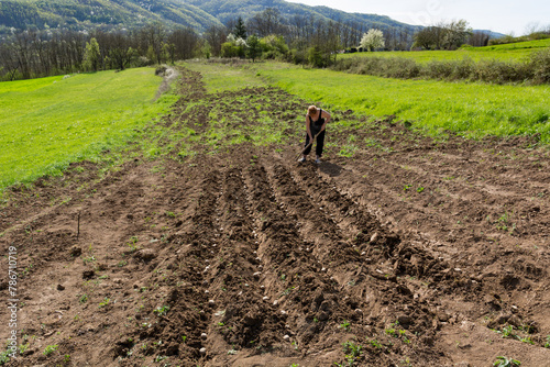 Female farmer using a hoe to cover rows where potato seeds have been planted on a sunny, warm spring day in the field, highlighting the concepts of organic farming and agriculture for personal use
