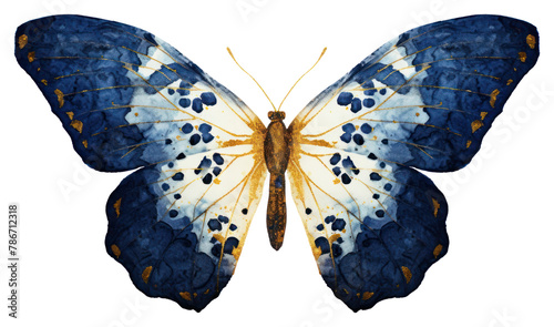 PNG Indigo moth butterfly animal insect. photo