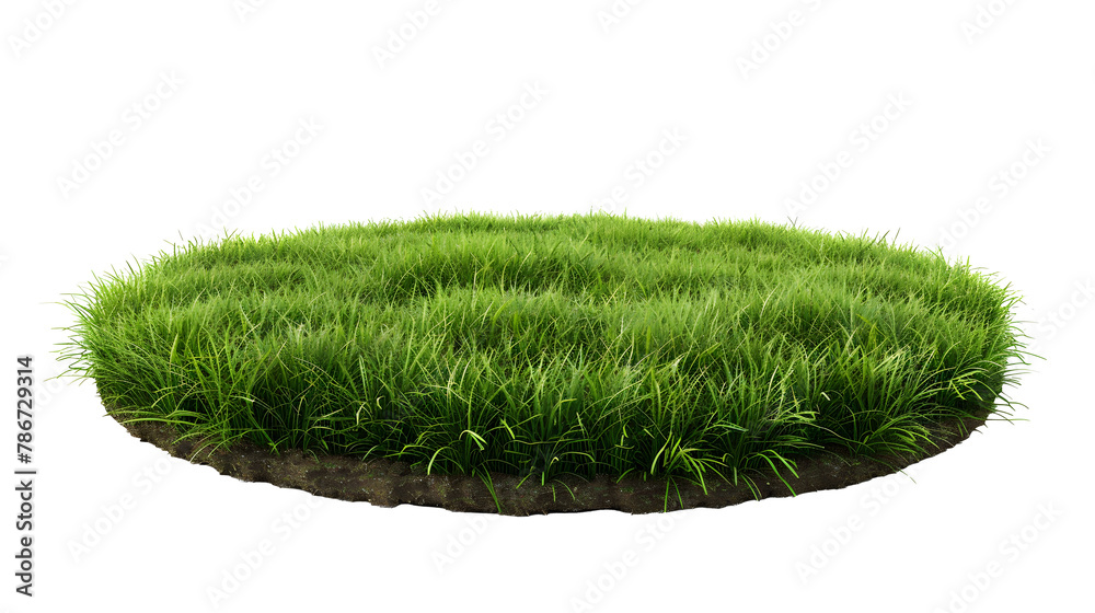 grass green circle land ground floor garden or garden earth soil land layer and green grass floor circle section land isolated on white background. 3d illustration render