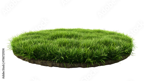 Obraz na płótnie grass green circle land ground floor garden or garden earth soil land layer and green grass floor circle section land isolated on white background. 3d illustration render w salonie