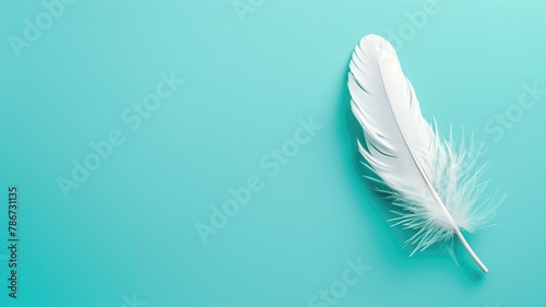 Single white feather lies on solid turquoise background