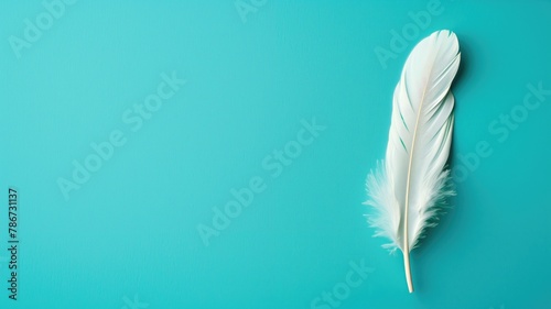 Single white feather is positioned on teal background, emphasizing simplicity and lightness