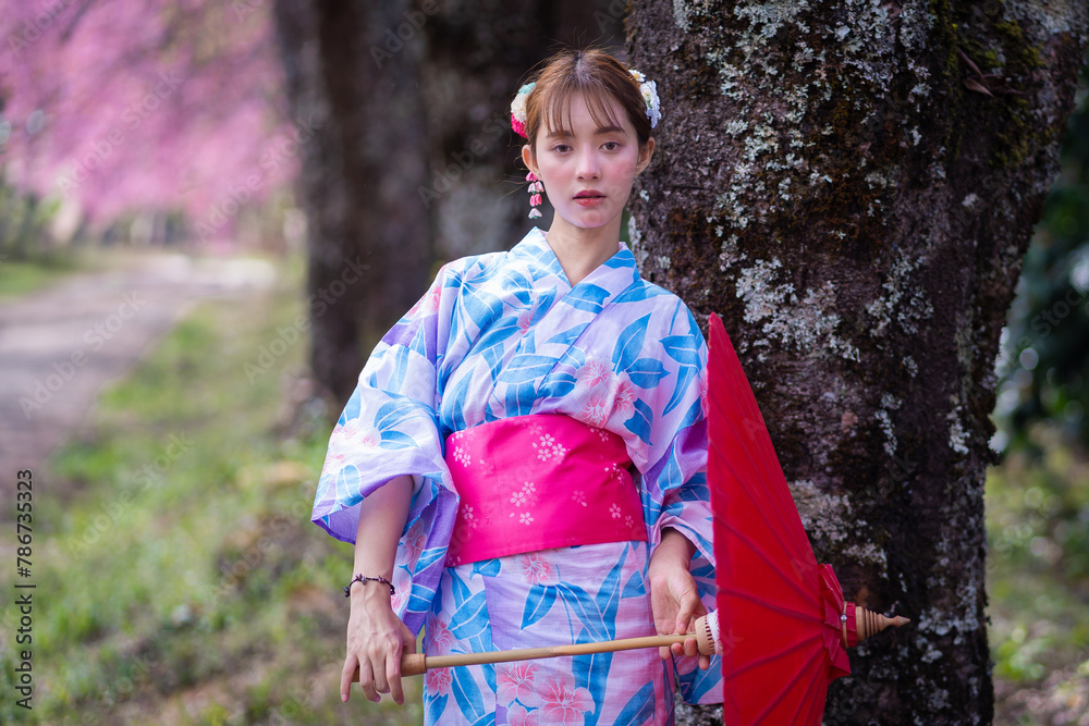 Pretty girl in a Yukata dress.  A young Asian woman wearing a traditional Japanese kimono or Yukata dress holding a red umbrella is happy with sakura flowers or cherry blossoms blooming in the park.