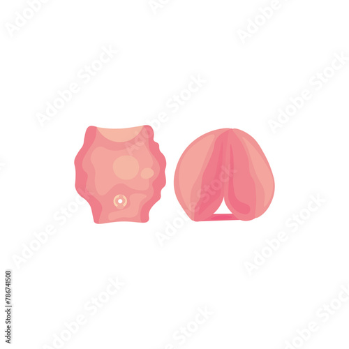 Inflatable armbands on white background