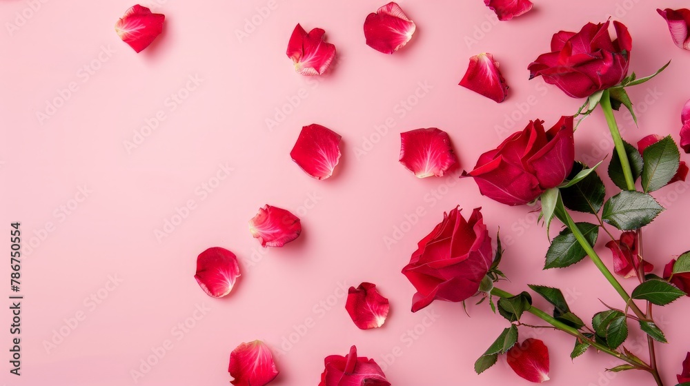 Beautiful red roses and petals on pale pink background, flat lay. Space for text Beautiful red roses and petals on pale pink background, flat lay. Space for text