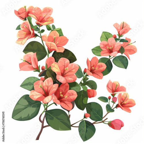 Artistic illustration of a Bougainvillea branch with lush pink flowers and green leaves.