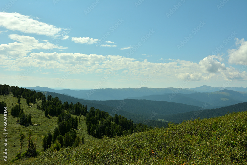The gentle slopes of high mountains are overgrown with grass and rare coniferous trees under a cloudy summer sky.