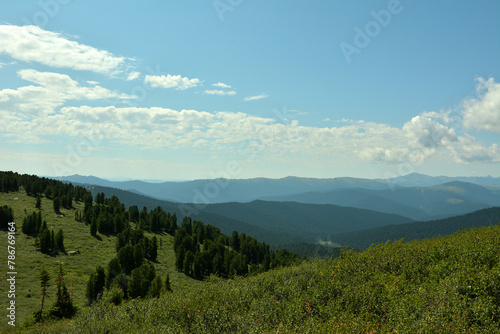 The gentle slopes of high mountains are overgrown with grass and rare coniferous trees under a cloudy summer sky.