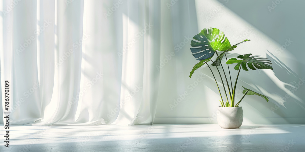 A white curtain lies on the floor, against a white wall background with a monstera plant in a pot, creating a simple interior design with a copy space. A white curtain lies on the floor, against a white wall background with a monstera plant in a pot, creating a simple interior design with a copy space.