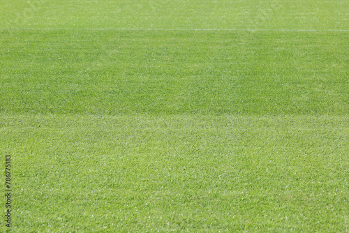 サッカー場の美しい天然芝 photo