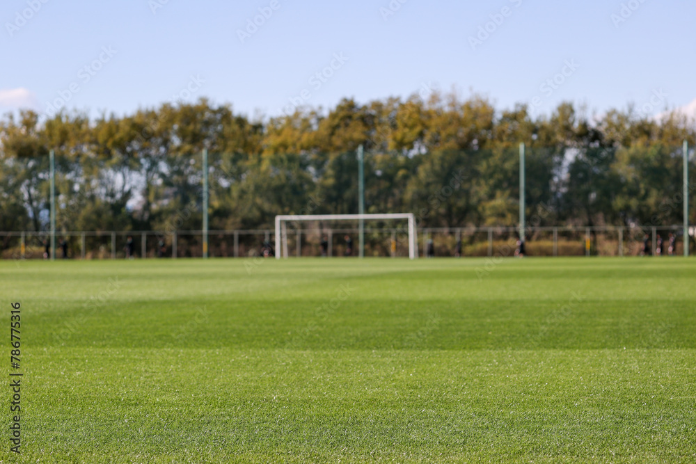 Obraz premium 天然芝とサッカーゴール