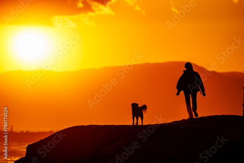 夕日が沈む湘南の海を犬と散歩する人