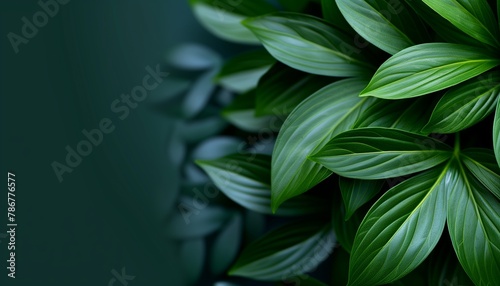 Natural green leaves plants using background cover page environment ecology or greenery wallpaper