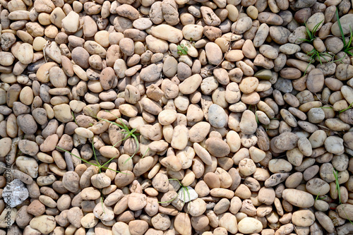 Top Views of Many pebbles on the floor in the garden for design and decoration at Thailand.