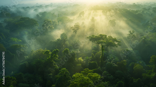 As the sun rises  its beams break through the dense mist covering the lush green canopy of a tropical rainforest  creating a mesmerizing and ethereal early morning atmosphere