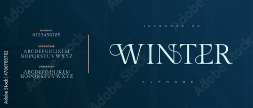 Winter elegant Font Uppercase Lowercase and Number. Classic Lettering Minimal Fashion Designs. Typography modern serif fonts regular decorative vintage concept. vector illustration