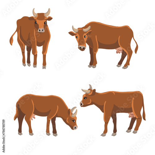 vector drawing brown cows  farm animal isolated at white background  hand drawn illustration