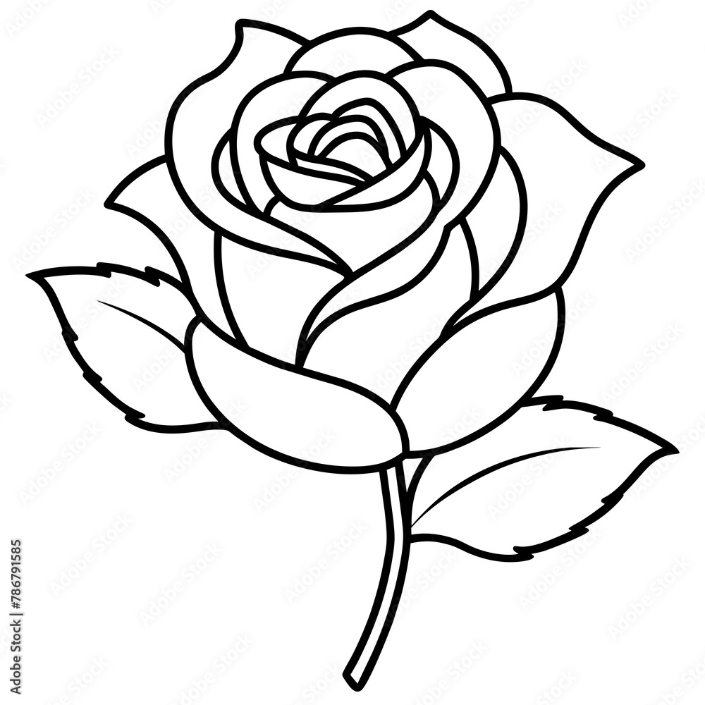 white rose isolated on black vector illustration white rose isolated on black vector illustration