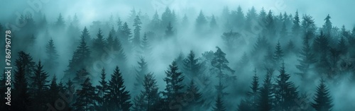 Enchanting Black Forest Fog: Mystical Tree Landscape in Germany's Schwarzwald © hisilly