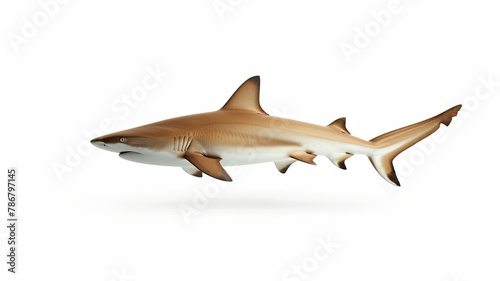 Illustration of a lifelike shark on a seamless background. AI Generative.