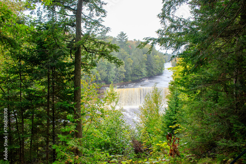 waterfall in the woods