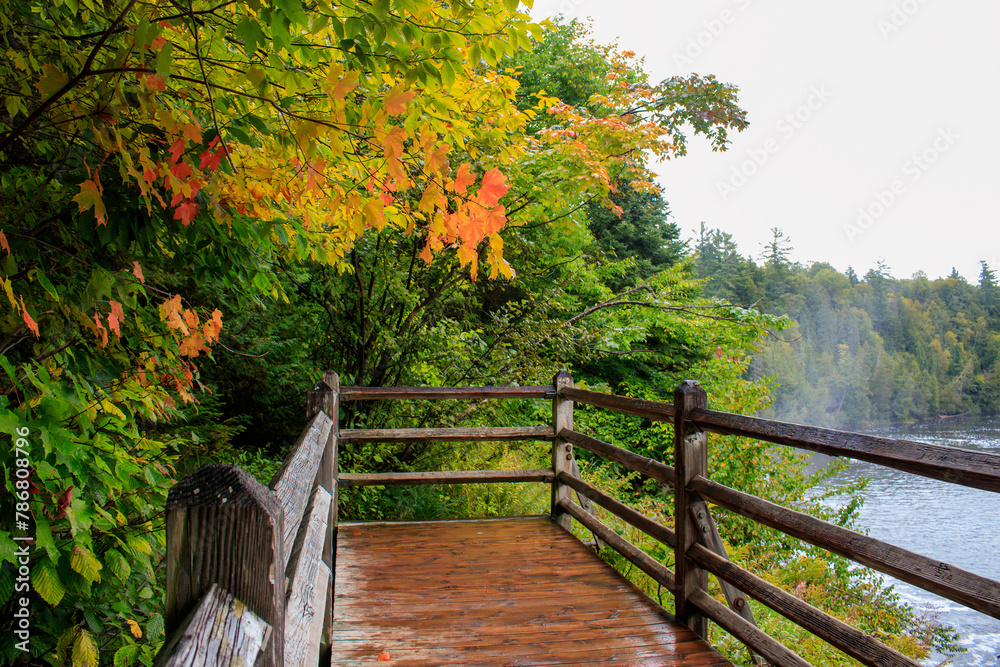 Wooden bridge in autumn forest located in the Tahquamenon Falls State Park, Michigan Wooden bridge in autumn forest located in the Tahquamenon Falls State Park, Michigan