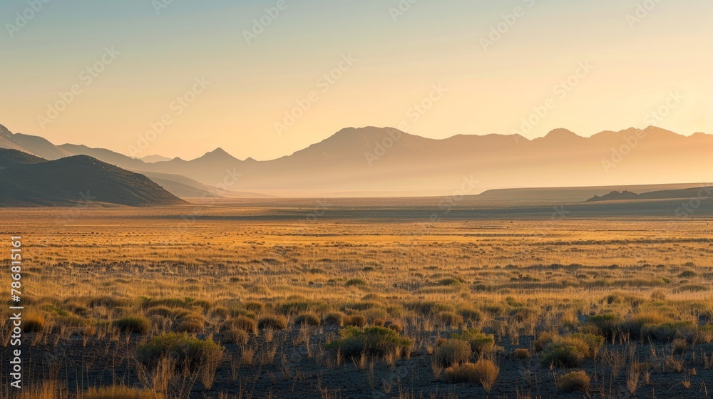 Desert landscape with distant mountain range, rugged and majestic natural scenery