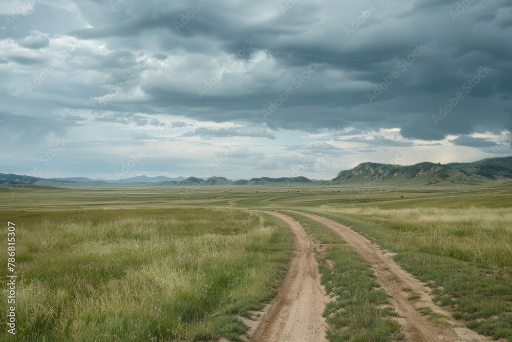 Scenic road amidst field with overcast sky, capturing the beauty of countryside