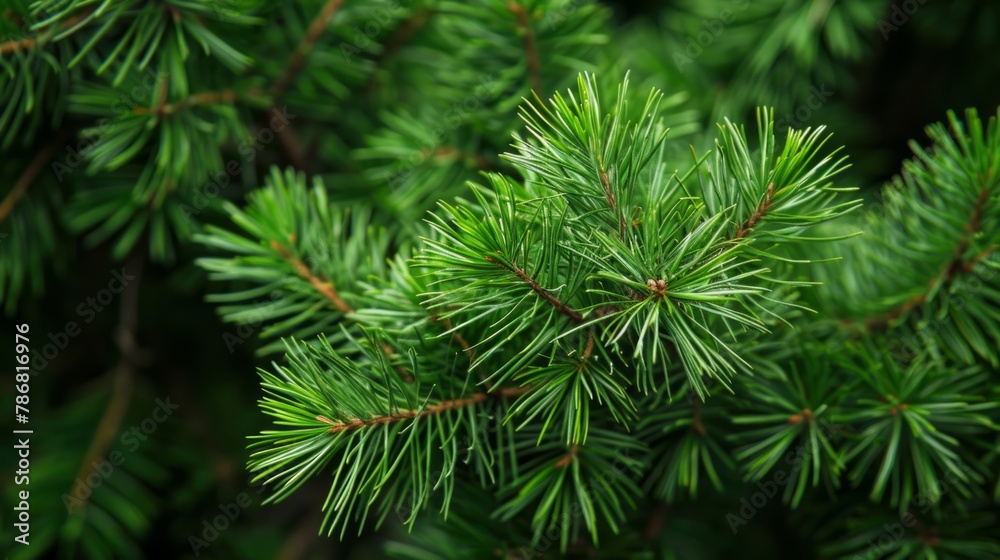 Macro shot of lush green foliage, capturing the intricate details and texture of tree leaves