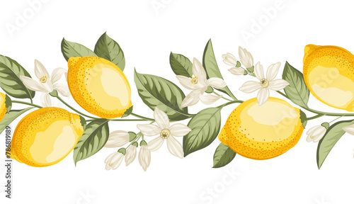 Lemon frame illustration. hand-drawn citrus.